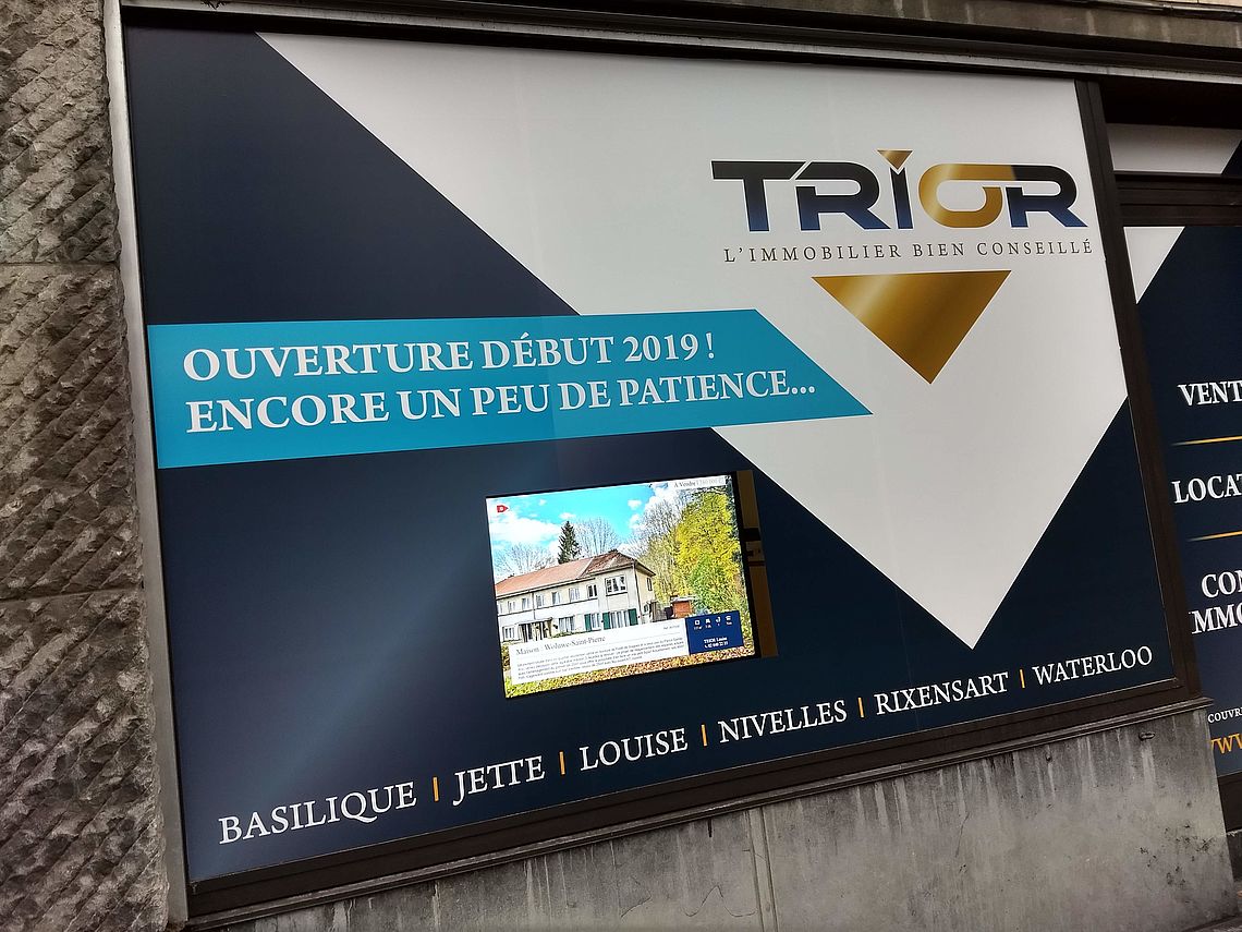Habillage Vitrine Agence Immobilière