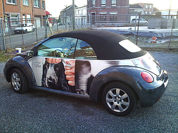 Apollo Communications - Lettrage de véhicule d'entreprise