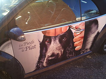 Apollo Communications - Lettrage de véhicule d'entreprise